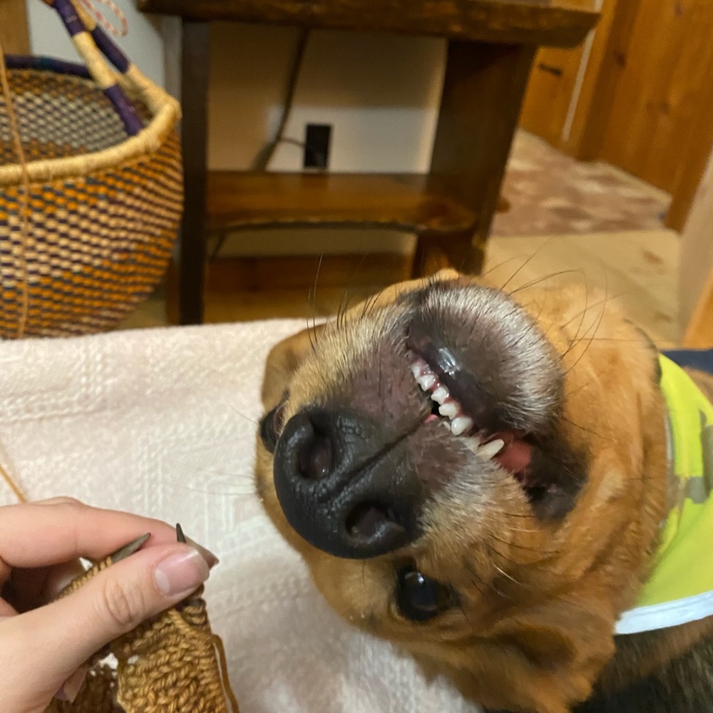 Meet your Posher, Nikki